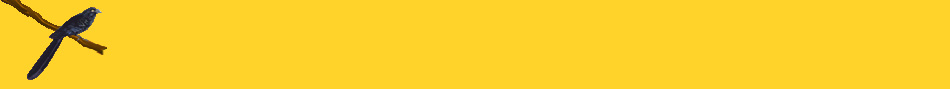Baner principal del sitio